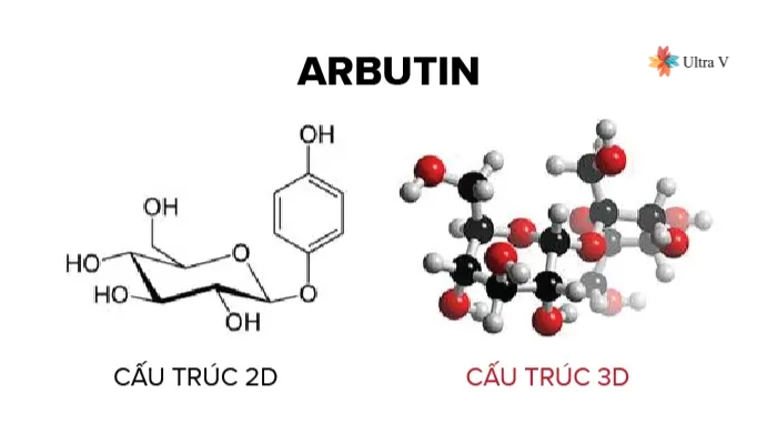 arbutin là gì